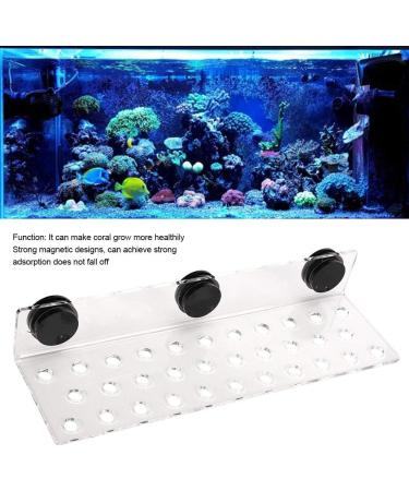 Cikonielf Magnetic Acrylic Coral Rack Holder - 32 Hole Transparent Aquarium Coral Question Holder - Buy Online on SooperMarket.com