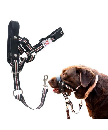 Alpha Boy Dog training collar comfortable and gentle dog handlebars for all breeds easy-to-use dog handlebars real leather strap one-piece dog-pulling harness with quick lock buckle (m) medium