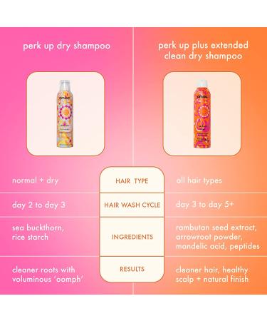 Amika Perk Up Plus Extended Clean Dry Shampoo 5.30 oz - Pack of 1 - Buy Online on SooperMarket.com