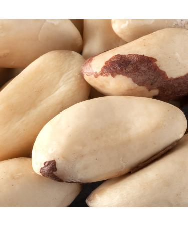 Buy Organic Whole Brazil Nuts - Bremer Gew rzhandel 180g | Premium Quality No Shell International Shipping - Buy Online on SooperMarket.com