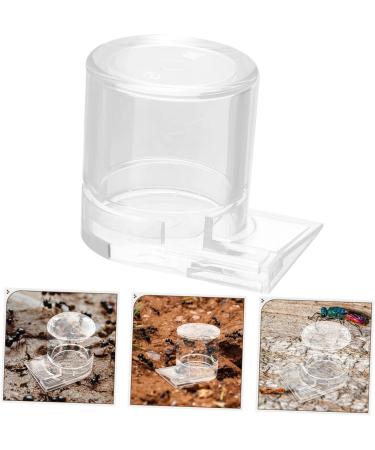 BESPORTBLE Pet Water Feeder Ant Keeping Ant Watering Cup Ant Feeding Cup Ant Bottle Feeder Ant Watering Station Ant Waterer for Garden Ant Cups Water for Ant Garden Ants Feeding Device - Buy Online on SooperMarket.com