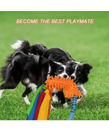 Tekcam 2 Pack Dog Tug Toys - Squeaky Agility Rope Toys for Small & Medium Dogs | Interactive Outdoor Fun - Buy Online on SooperMarket.com