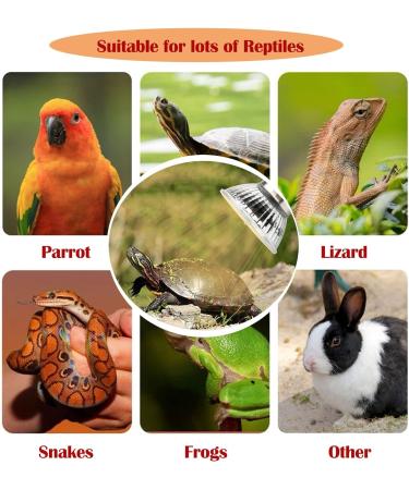 QIODAZOO 50W Turtle Heat Spot Lamp - Reptile Heat Lamp with Adjustable Time & Brightness E27 Hook - Buy Online on SooperMarket.com