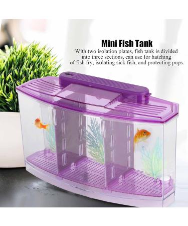 Aquarium Fish Tank Transparent Aquarium Fish Tank LED Acrylic Three Divisions Breeding Isolation Box for Small Fishes Mini Breeding Fish Tank (Purple) - Buy Online on SooperMarket.com
