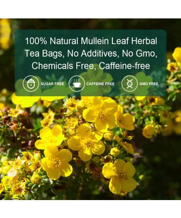 Mullein Leaf Tea Bags - Respiratory Support Herbal Tea | Caffeine-Free | 40 Tea Bags - Buy Online on SooperMarket.com
