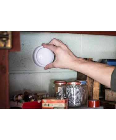 T-Rex Waterproof Mounting Tape  Clear (285338) - Buy Online on SooperMarket.com