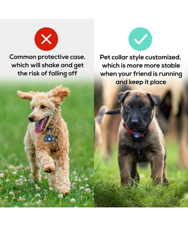 AirTag Dog Collar Holder (2 Pack) - Silicone Pet Collar Case for Apple Airtags - Anti-Lost Air Tag Cover for Cat & Dog Collars - Compatible with Collar Charms - Large Size - Black/Blue - Buy Online on SooperMarket.com