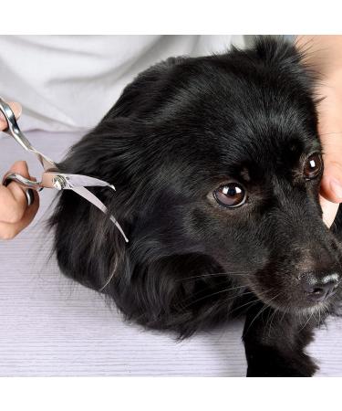 Chibuy Curved Pet Grooming Scissors with Round Tips - Professional 4CR Stainless Steel Shear for Dogs and Cats - Buy Online on SooperMarket.com