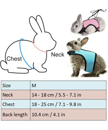 Adjustable Rabbit Dishes & Leash Set for Small Animals 2 Pieces in Blue & Pink | Perfect for Rabbits Hares Hamsters & Cats | Outdoor Use - Buy Online on SooperMarket.com