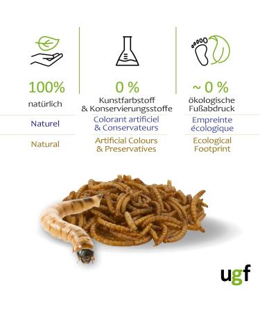 UGF Premium Dried Mealworms 250g | Insect Snacks for Birds Hamsters Hedgehogs Rodents Lizards & Turtles - No Preservatives or Dyes - Buy Online on SooperMarket.com
