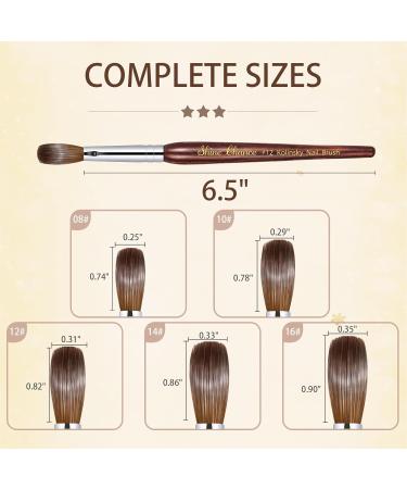 Acrylic Nail Art Brush Size 16 | 100% Pure Kolinsky Hair Oval Nail Brush for Professional Acrylic Application | DIY Home Salon Nail Extension Tool - Buy Online on SooperMarket.com