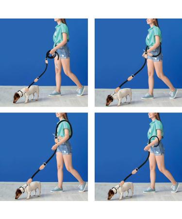 2m Durable Dog Leash with 2 Carabiners - Nylon Double Lined Training Line for Small Medium & Large Dogs | Portable Exercise Leash in Blue - Buy Online on SooperMarket.com