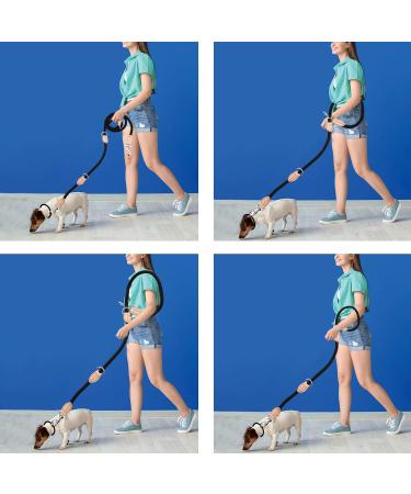 2m Dog Leash with Carabiners | Durable Nylon Training Line for Small Medium & Large Dogs - Adjustable & Portable (Red) - Buy Online on SooperMarket.com