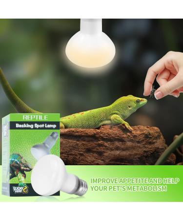 LUCKY HERP Reptile Heat Lamp 75W 2 Pack UVA Reptile Heat Lamp Bulb Amphibian Basking Spot Light Bulb Reptile Daylight Bulb for Turtle Bearded Dragon Lizard Heating Use 75W(2 Pack) - Buy Online on SooperMarket.com