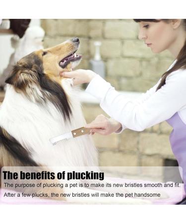 Professional Trimmeters Set for Dogs & Cats - Stainless Steel Fine & Medium Tooth Care Kit - Buy Online on SooperMarket.com