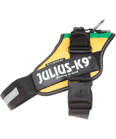 Buy IDC Powerharness L/1 in Lithuanian Colors | Premium International Shipping - Buy Online on SooperMarket.com