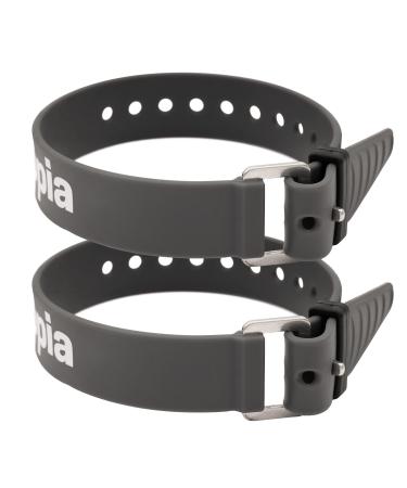 Appia Straps-tension belts 35cm gray (2-pack) incl. Strap keeper for bicycle skiing bike packing camping homework from TPU with rust-free aluminum buckle 2 straps gray