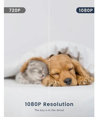 Buy GNCC Pet Cameras with App - 1080P HD 360 Swiveling 2-Way Audio Alexa Compatible - International Shipping Available - Buy Online on SooperMarket.com