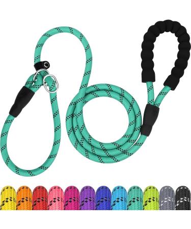TagME Slip Rope Dog Lead for Large Dogs 1.8m Reflective Slip Leads with Soft Padded Handle 12 Colors Slip-On Nylon Leash for Training/Walking Turquoise L-1/2"x6'(Pack of 1) Turquoise