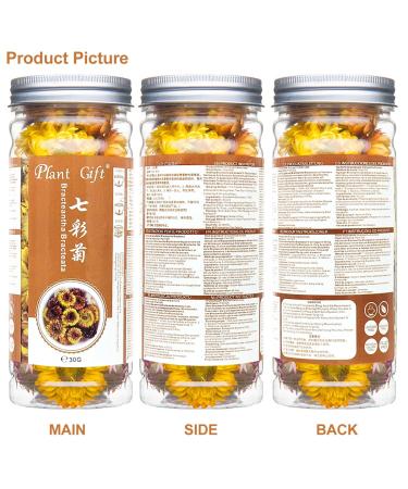 Buy Colorful Bracteantha Bractata Flower 30g | Anti-Fatigue Slimming Tea for Beauty & Liver Care - Buy Online on SooperMarket.com