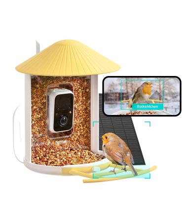 Netvue birdfy bird feeder with camera and free AI bird recognition environmentally friendly solar operation Smart bird house automatic recording of bird videos and app noticeable direction yellow birdfy Ki with solar