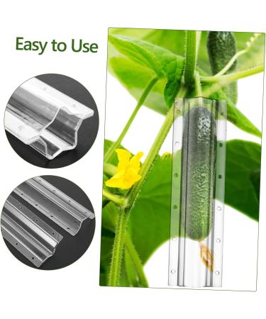 GANAZONO Cucumber Molds 4 Pcs Cucumber Fruit Shape Mold Fruit Shaping Mold Vegetable Mold Combination Modeling Accessories - Buy Online on SooperMarket.com