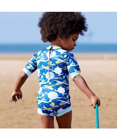 Splash About Happy Nappy Wetsuit & Reusable Swim Nappy - Up in the Air - 12-24 Months - Buy Online on SooperMarket.com