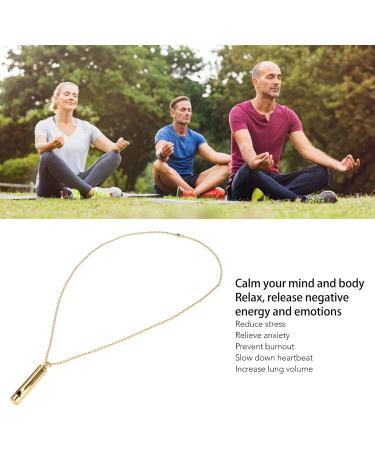 Anxiety Necklace Mindful Breathing Necklace Breathing Exercise Device for Meditation Relaxation Calming Down Slowing Breath Anxiety Relief Necklace for Anxiety Stress Panic Attack Relief(1#) - Buy Online on SooperMarket.com