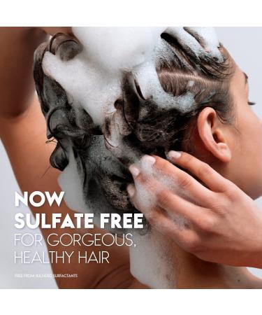 Head & Shoulders Supreme Sulfate Free Conditioner with Argan Oil - Anti-Dandruff Treatment for Soothe & Strengthen Hair & Scalp - 28.2 Fl Oz | Buy Online Internationally - Buy Online on SooperMarket.com