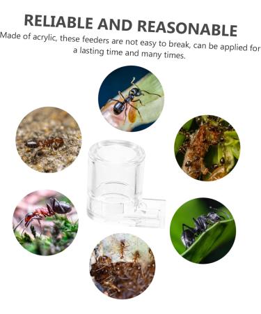 Minkissy Ant Farm Set - 2 Piece Ants Water Feed Station for Ants Nest | Observatory for Anthill Colony - Ideal for Scientific Education and Agriculture - Buy Online on SooperMarket.com