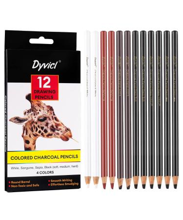 Dyvicl Charcoal Pencils Drawing Set  12 Pieces Colored Charcoal Pencils for Drawing  Sketching  Shading  Blending  Highlight White Pencils for Beginners and Artists
