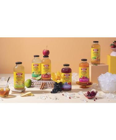 Bragg Organic Apple Cider Vinegar Limeade Drink 16 oz (Pack of 2) - All Natural - Buy Online on SooperMarket.com