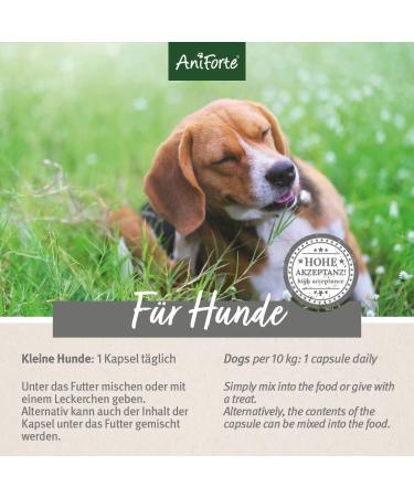 Aniforte Tick Sign for Small Dogs up to 10kg - 60 Capsules for Natural Tick Protection | Effective for Junior Adult & Senior Dogs - Buy Online on SooperMarket.com