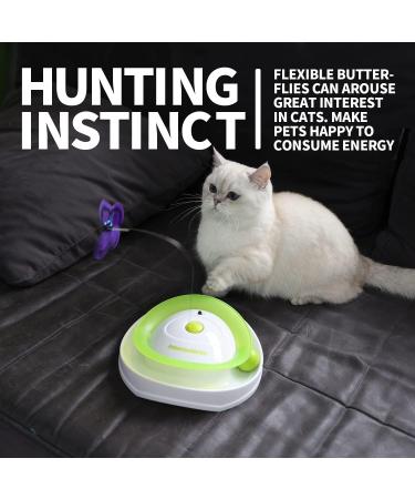 All for Paws 2 in 1 Interactive Cat Toy - Fluttering Butterfly & Rolling Balls - Automatic Indoor Kitten Spinner Toy - Buy Online on SooperMarket.com