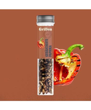 Original Sensible Insect Snack - Crunchy Protein Party Mix | Spicy & Sweet Grilling Gift - 4x20g - Buy Online on SooperMarket.com