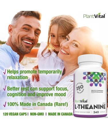 PlantVital High Potency L-Theanine 250mg Capsules - 240 Count - L Theanine Supplement for Relaxation and Stress Management Non-GMO Made in Canada - L-Theanine Supplements 8 Month Supply 240 count (Pack of 1) - Buy Online on SooperMarket.com