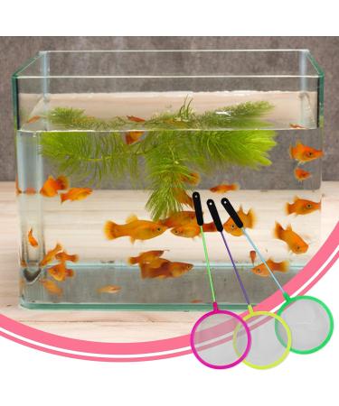 Brine Shrimp Net Small Aquarium Fish Net Shrimp Separation Net for Artemia Eggs Brine Shrimp Hatchery - Buy Online on SooperMarket.com