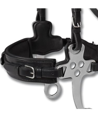 WALDHAUSEN X-Line Hackamore Bridle - Black Stainless Steel for Thoroughbred & Cob | Premium Equestrian Gear - Buy Online on SooperMarket.com