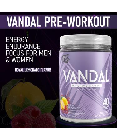 Vandal | Pre Workout Powder - Safe Nootropic Pre Workout Supplement for Men & Women | Boosts Energy Focus Performance & Recovery | Nitric Oxide Booster for Blood Flow | 40 Servings (Royal Lemonade) - Buy Online on SooperMarket.com