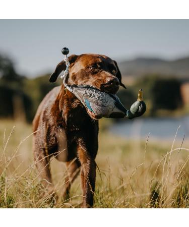 HP & G Home Pets & Garden Apportier Dummy Stockente - 40cm Dog Training Dummy Durable & Robust Ideal for Enhanced Pet Training - Buy Online on SooperMarket.com