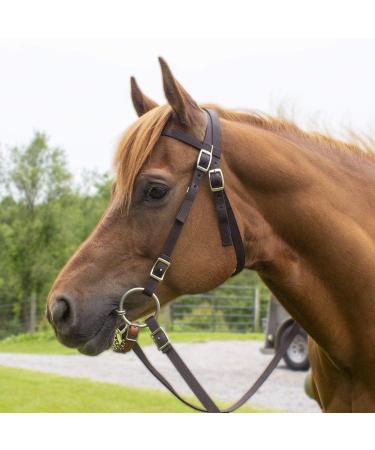 Tahoe Tack Double Layer Nylon Headstall with Reins - Pink Full Size - Buy Online on SooperMarket.com