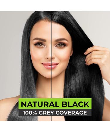 Super Eazzy Hair Colour Shampoo | 5-Minute Root Hair Dye Kit for Men & Women | No Parabens Ammonia Sulfates | Pack of 10 - Black - Buy Online on SooperMarket.com