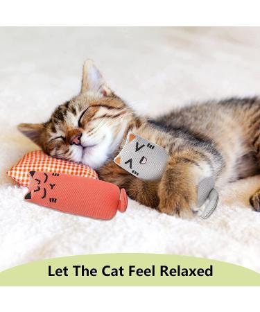 MOSNOW Cat Chase Toys 1 Pack 2 in 1 LED Pointer Cat Toys&1 Pack Cat Catnip Toys Funny Cat Toys Pet Interactive Toys for Pet Indoor Exercise Training Tool - Buy Online on SooperMarket.com