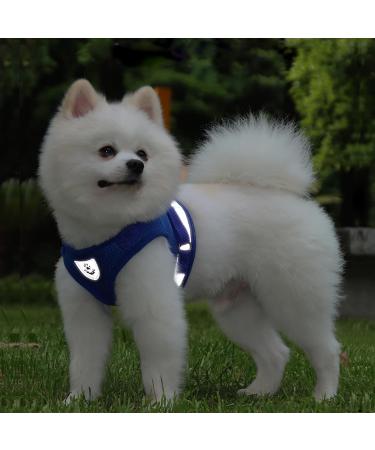 Buy Reflective Soft Padded Dog Harness & Cat Dishes for Small Dogs - Air-Mesh Leash Included | Perfect Fit for Puppies & Cats (Chest 29-33cm) - Blue - Buy Online on SooperMarket.com