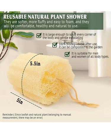 Natural Shower Loofah Sponge - Bath Exfoliating Body Scrubber - Soft & Easy Foaming Spa Lufa Sponges (2 Pack) - Buy Online on SooperMarket.com