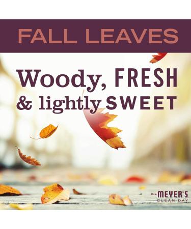 Mrs. Meyer's Clean Day Variety - Fall Leaves Hand Soap & Dish Soap Set | 12.5 OZ & 16 OZ | International Shipping Available - Buy Online on SooperMarket.com