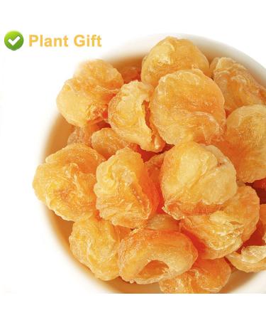 Plantgift Natural Dried Longan 100g - Premium Quality 100% Fruit Meat No Sugar Perfect for Teas Desserts & Cooking - Buy Online on SooperMarket.com