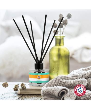 Arm & Hammer Pet Odor Eliminator Room Spray | 10 oz Eucalyptus Mint Fragrance | Baking Soda Pet Deodorizer | Eucalyptus Mint Reed Diffuser - Buy Online on SooperMarket.com