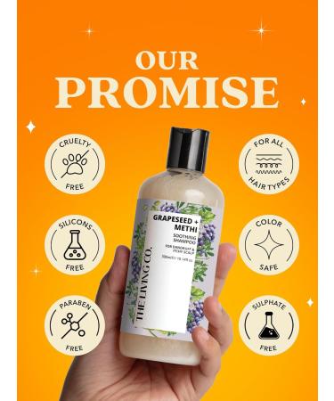 Soothing Grapeseed & Methi Shampoo for Dandruff Relief | 300ml - International Shipping - Buy Online on SooperMarket.com