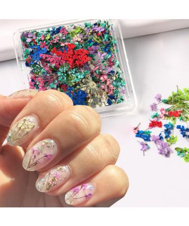 Buy 4Box 3D Dried Flowers Nail Art Stickers - Colorful DIY Mini Flower Petals for Nail Design - Natural Floral Decals for Manicure & Craft Accessories - Buy Online on SooperMarket.com